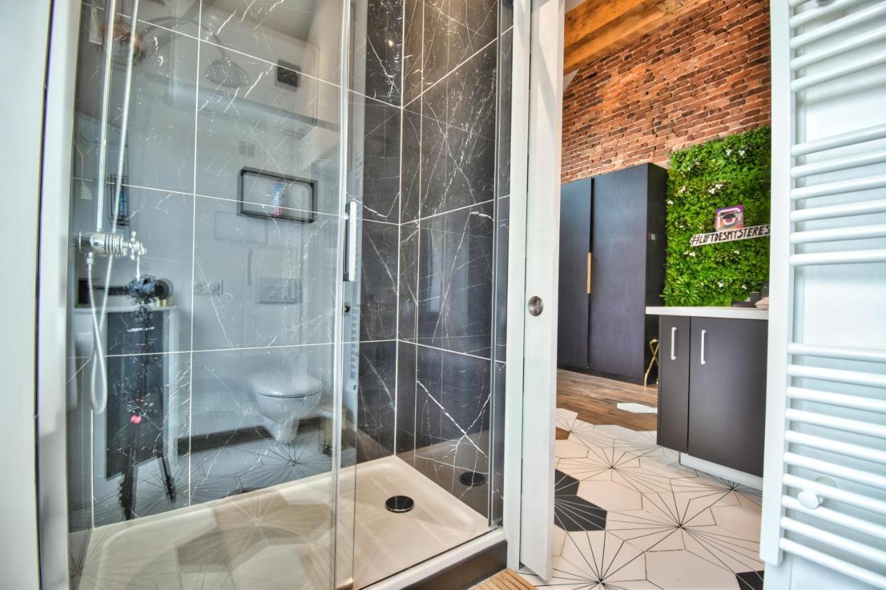 Apartament * Le Loft Des Mysteres * Maintenon Zewnętrze zdjęcie
