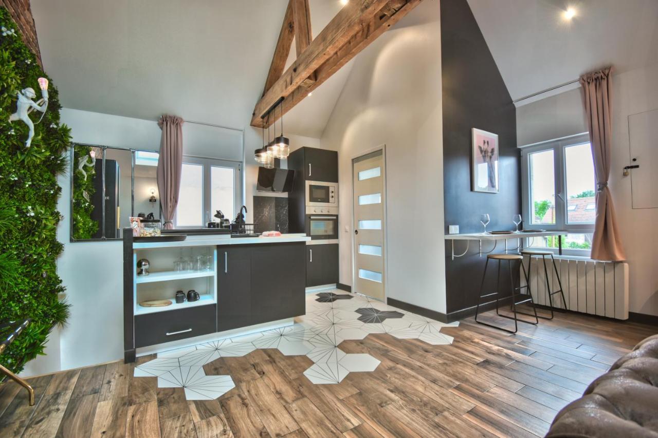 Apartament * Le Loft Des Mysteres * Maintenon Zewnętrze zdjęcie