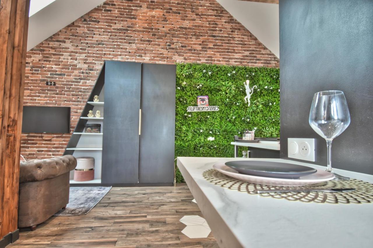 Apartament * Le Loft Des Mysteres * Maintenon Zewnętrze zdjęcie