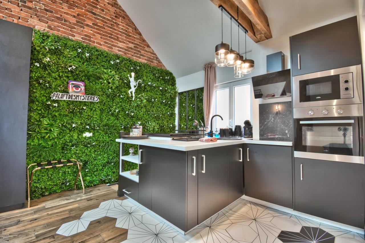 Apartament * Le Loft Des Mysteres * Maintenon Zewnętrze zdjęcie