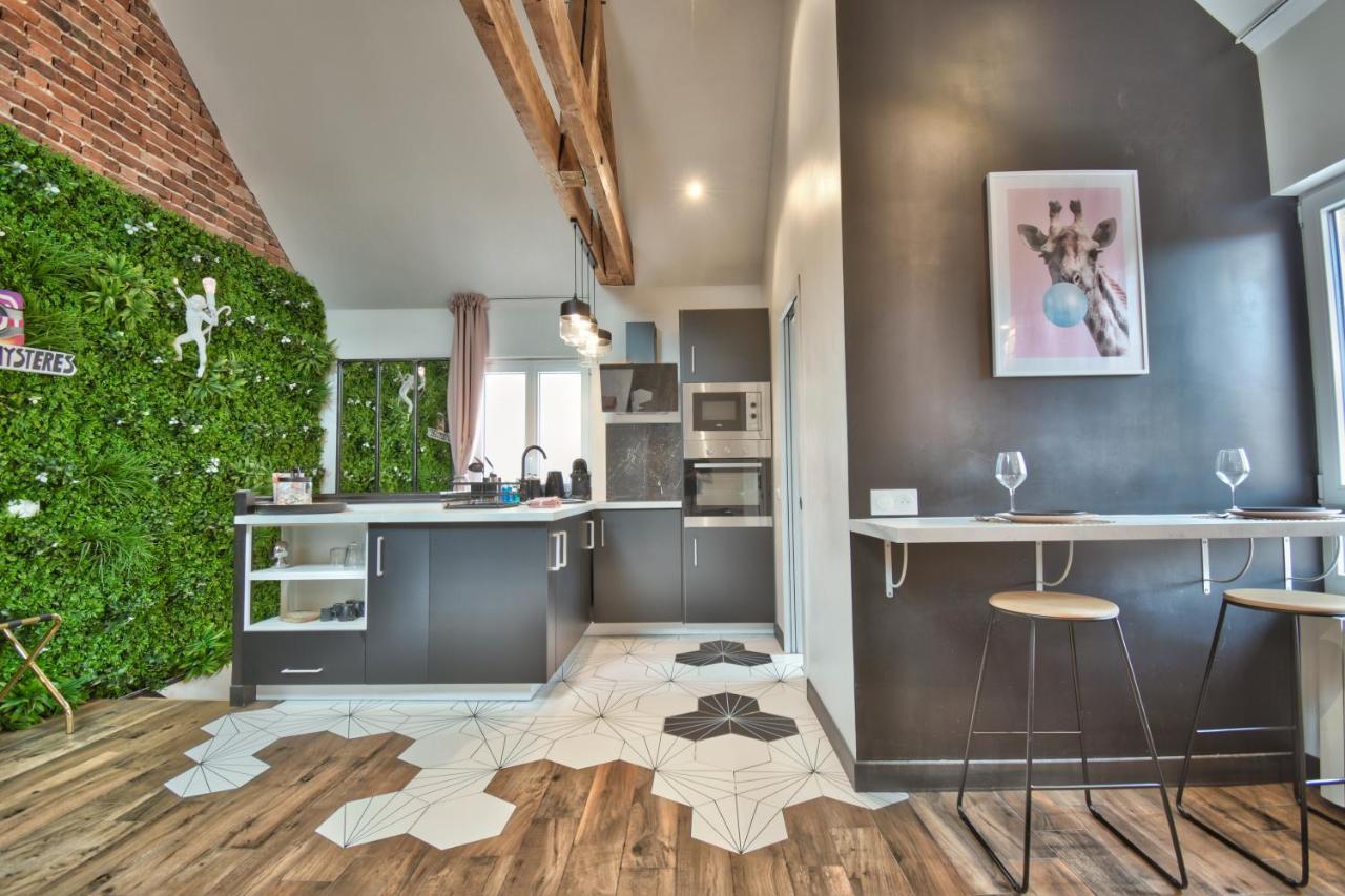 Apartament * Le Loft Des Mysteres * Maintenon Zewnętrze zdjęcie